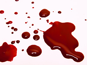 Muswada Chapter Chapitre 46 Du Sang Rien Que Du Sang