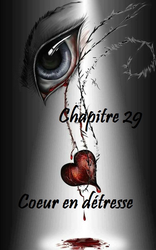 Tout Ce Qu'on Veut C'est Le Coeur Des Filles Muswada | Chapter | Chapitre 29 : cœur en détresse